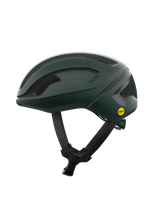 Pargasite Green Matt