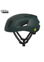 Pargasite Green Matt