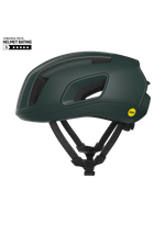 Pargasite Green Matt