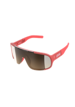 Ammolite Coral Translucent