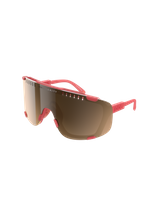 Ammolite Coral Translucent