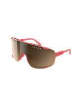 Ammolite Coral Translucent