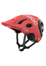 Ammolite Coral/Uranium Black Matt