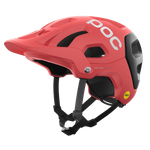 Ammolite Coral/Uranium Black Matt