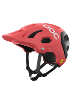 Ammolite Coral/Uranium Black Matt