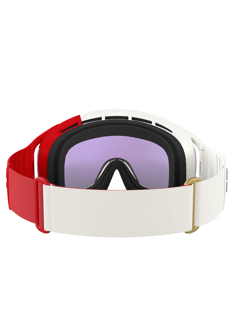 Zonula Ski Goggles in Epidote Green | Ski Eyewear | POC (NZ)