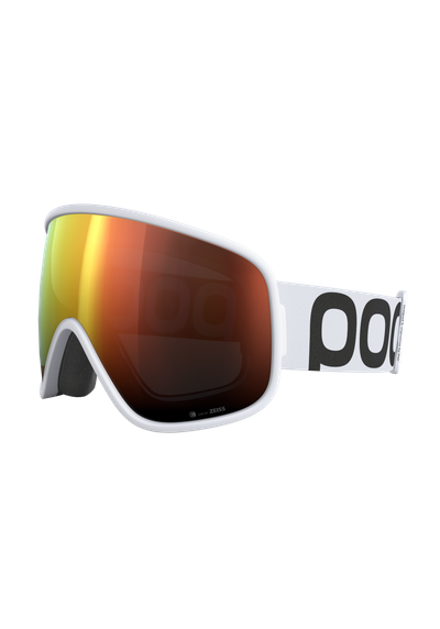 Vitrea Ski Goggles