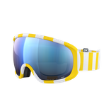 Fovea Ski Goggles