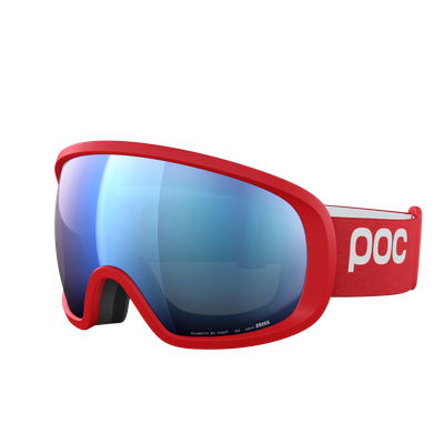 Fovea Ski Goggles