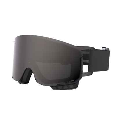 Nexal Ski Goggles