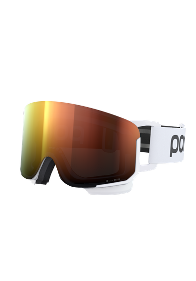 Nexal Ski Goggles