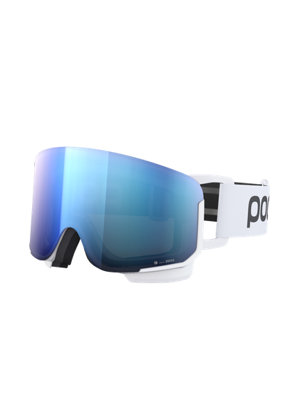 Nexal Ski Goggles
