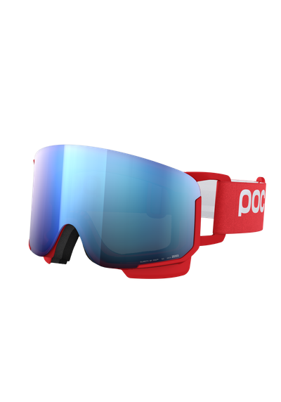 Nexal Ski Goggles