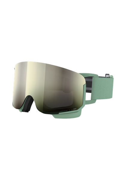 Nexal Ski Goggles