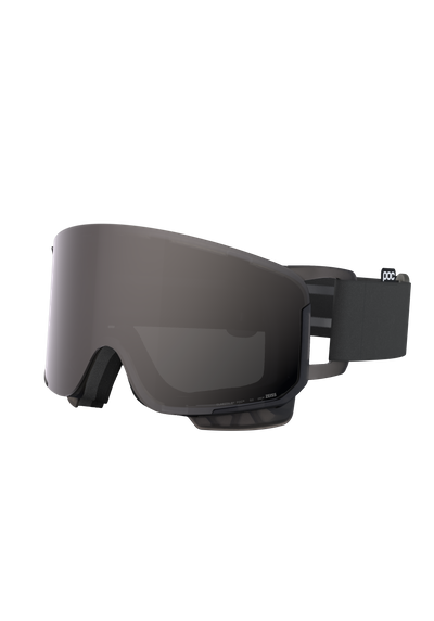 Nexal Ski Goggles