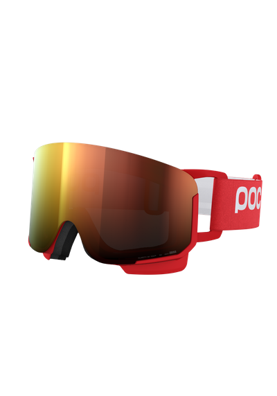 Nexal Ski Goggles