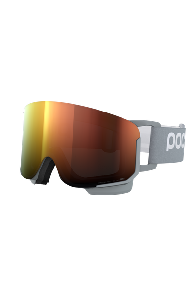 Nexal Ski Goggles