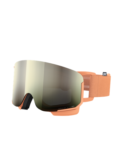 Nexal Ski Goggles