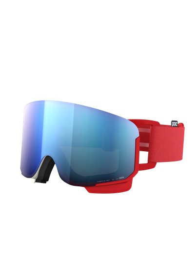 Nexal Ski Goggles