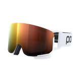 Nexal Ski Goggles