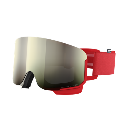 Nexal Ski Goggles