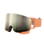 Nexal Ski Goggles