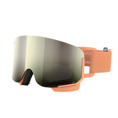 Nexal Ski Goggles