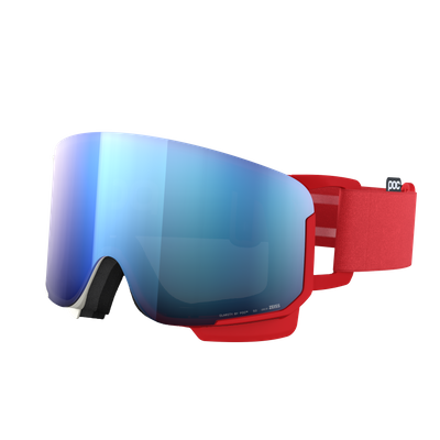 Nexal Ski Goggles