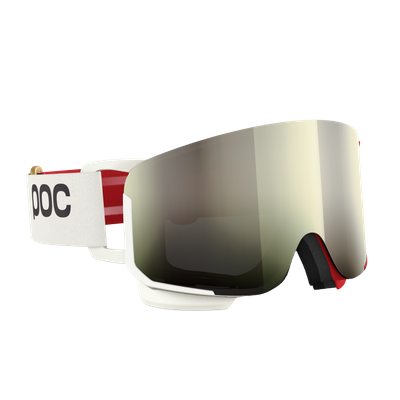 Nexal Ski Goggles
