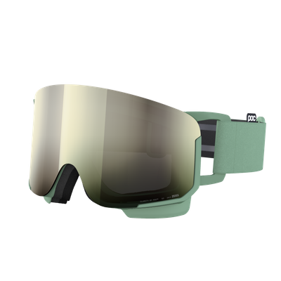 Nexal Ski Goggles