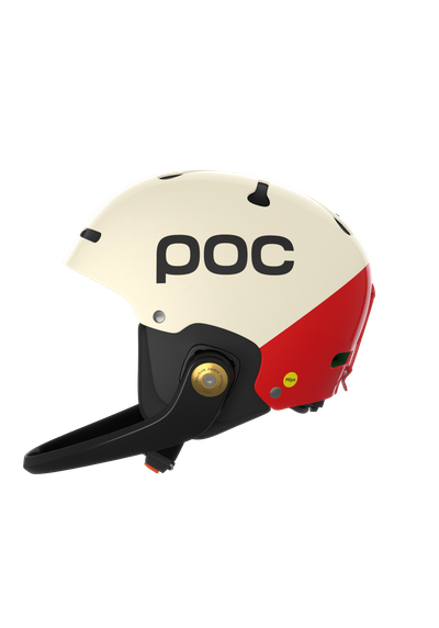 Casque de Ski Artic SL MIPS